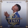 Mandingene (DJ Maphorisa Remix)