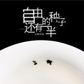 大粉乐队 - 自由的种子还有一半