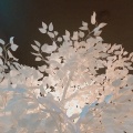 MAnYeon蔓妍妍 - 阿刁