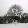 王朝博 - 雪白冰雪
