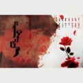 根小八 - 我不愿让你一个