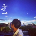 威迪 - 车载必备