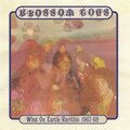 Blossom Toes、brian auger、Barry Reeves - Marmalade Jam