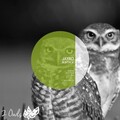 Jayro - Rumtrop (Original Mix)