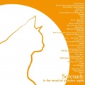 Tom Walker - Leave a Light On