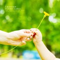 韩国群星 - 부드러운 미소로