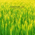 韩国群星 - 그대 곁에서