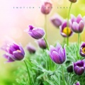 아름다운 감성을 나누는 평온한 뉴에이지 피아노 (A peaceful New Age piano sharing a beautiful sensibility)