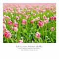 우울증 치유에 좋은 아름다운 뉴에이지 피아노 모음집 Vol.1 (Beautiful New Age Piano Collection Vol.1 Good for Depression Healing)