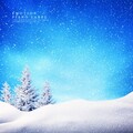 韩国群星 - 마른 나뭇잎