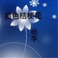 杨李 - 白色桔梗花