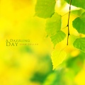 Evan Zeller - A Dazzling Day