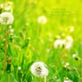 행복한 꿈나라로 인도하는 숙면 피아노 (A sleeping piano that leads to a happy dreamland)