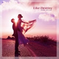 Evan Zeller - Like Destiny