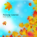 Evan Zeller - Falling Leaves