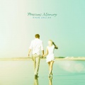 Evan Zeller - Precious Memory