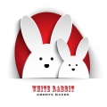 Groove Hands - White Rabbit