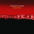 Chris Brook - Cherish A Hope