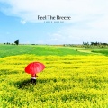 Chris Brook - Feel The Breeze