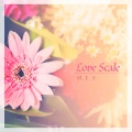 Love Scale