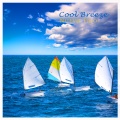 Nuevo Trio - Cool Breeze