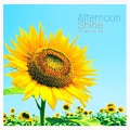 PI NO CA TO - Afternoon Shine