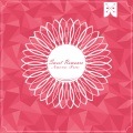 Nuevo Trio - Special Thanks