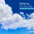 Nuevo Trio - Walking On The Sky