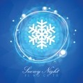 PI NO CA TO - Snowy Night