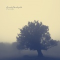 Pia Rosel - Lost Sunlight