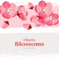 Pia Rosel - Cherry Blossoms