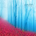 Pia Rosel - Late Fall