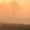 Pia Rosel - Past Love