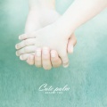 사막여우 - 통통한 얼굴 (A chubby face)
