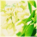 Groove Hands - Love In Spring