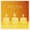 Little Hope