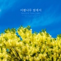 프리지아 - 이팝나무 밑에서