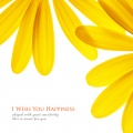 I Wish You Happiness