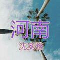 沈奥雅 - 平顶山的夜