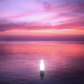 Slow Magic、Toulouse - GO