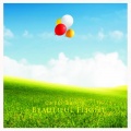 Chris Brook - Beautiful Flight