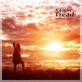 Nuevo Trio - A light tread