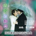 香飞蝶舞 - 雨中的相约