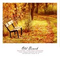 낡은 벤치 (Old bench)