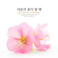 주찬희 - 참사랑의 향기