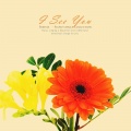 프리지아 - 니가 보인다 (I can see you)