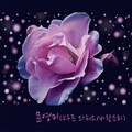 이승연 - 웬말인가요