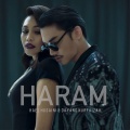 Dayang Nurfaizah、Hael Husaini - Haram