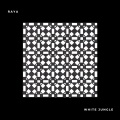 Raya - White Jungle (Original Mix)