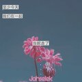 Jahselek - 徐真真 - 当妮走了 Remix